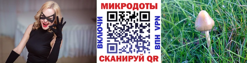 Галлюциногенные грибы мицелий  Купить закладки  Горнозаводск 